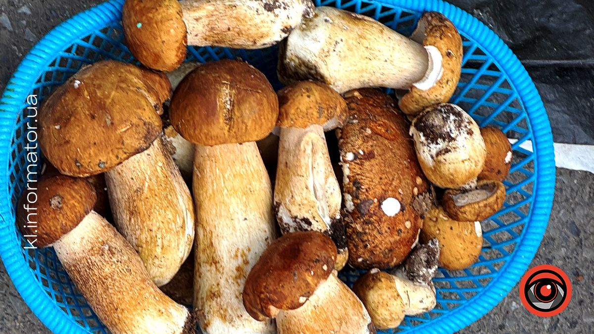 Сезон «тихого полювання»: скільки коштують гриби на Смоднянському базарі цього літа