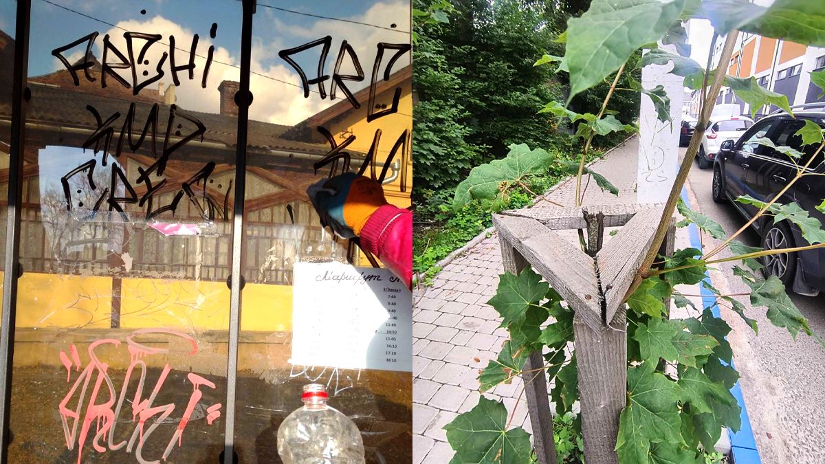 Зламані дерева, пошкоджені лавки та сміттєві урни: у Коломиї побільшало випадків вандалізму