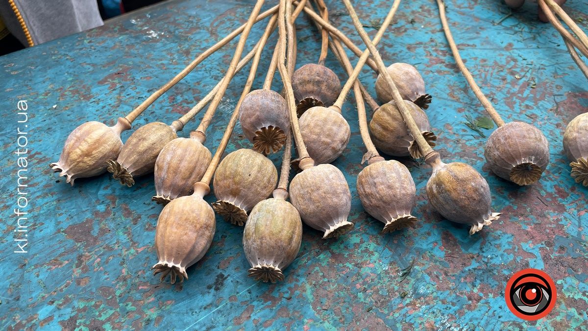 Готуємось до свята Маковея: які букети та за скільки можна придбати в Коломиї 2