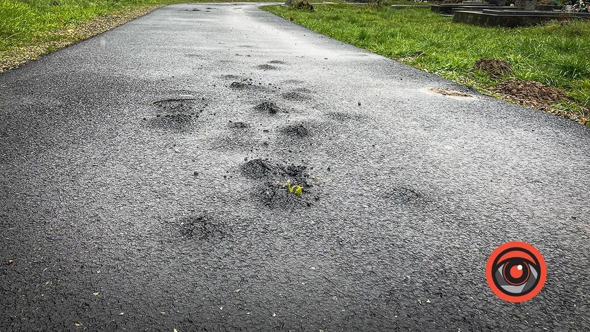 На міському кладовищі влада хоче класти асфальт. Чи знову переможуть кульбаби? 4