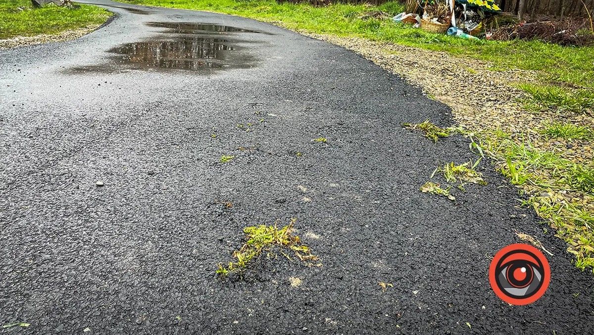 На міському кладовищі влада хоче класти асфальт. Чи знову переможуть кульбаби? 5