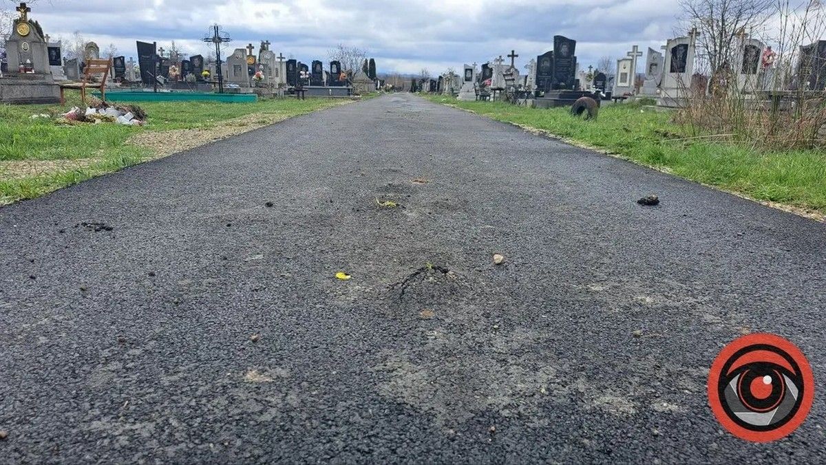 На міському кладовищі влада хоче класти асфальт. Чи знову переможуть кульбаби? 6