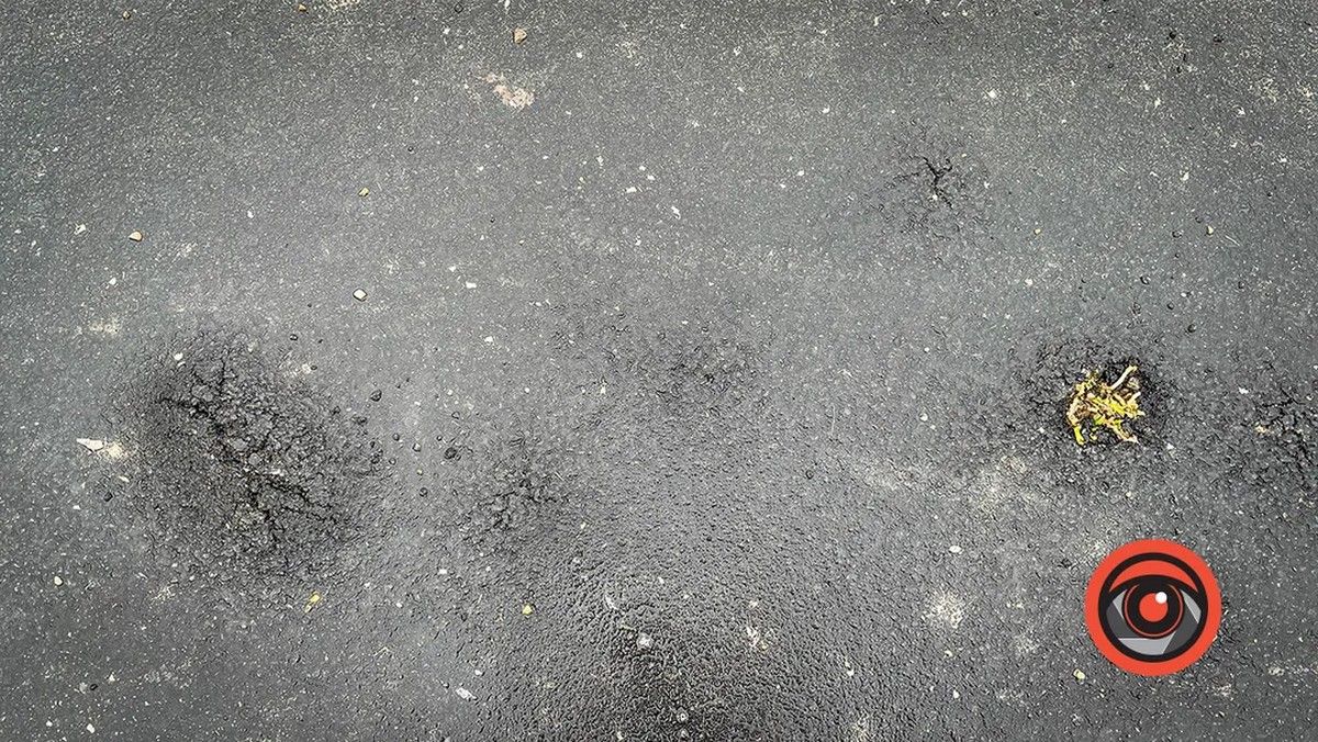 На міському кладовищі влада хоче класти асфальт. Чи знову переможуть кульбаби? 3