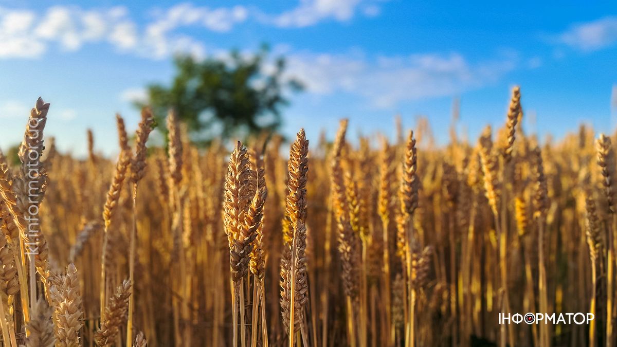 Коломия в об’єктиві липня: яким було місто посеред літа