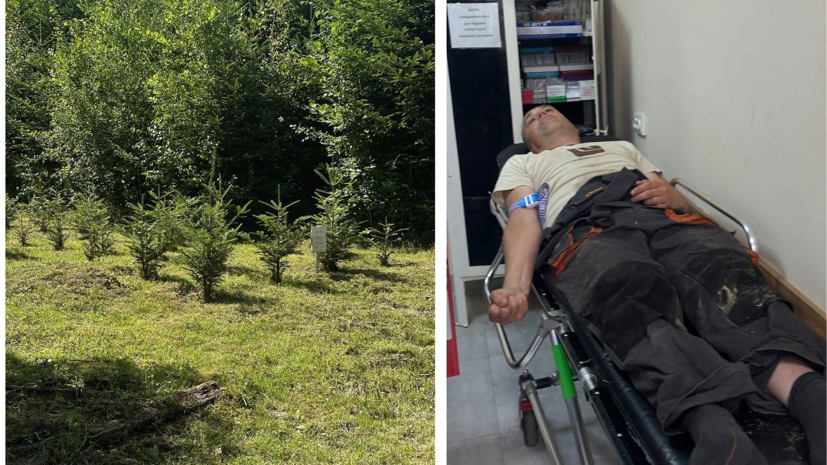 Напад на ветерана війни, помічника лісничого на Косівщині: що відомо 1