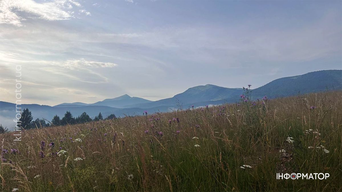 Там, де літо пахне травами: світлини Карпат, які дихають спокоєм 12