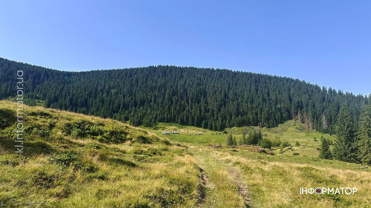 Там, де літо пахне травами: світлини Карпат, які дихають спокоєм 8