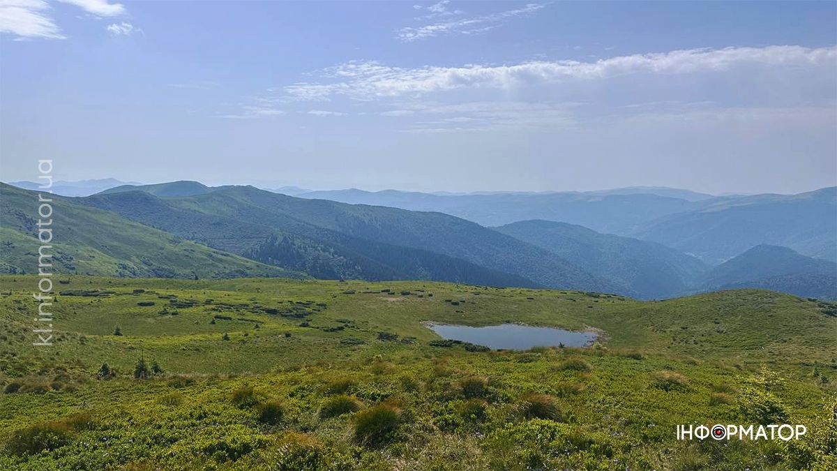 Там, де літо пахне травами: світлини Карпат, які дихають спокоєм 4