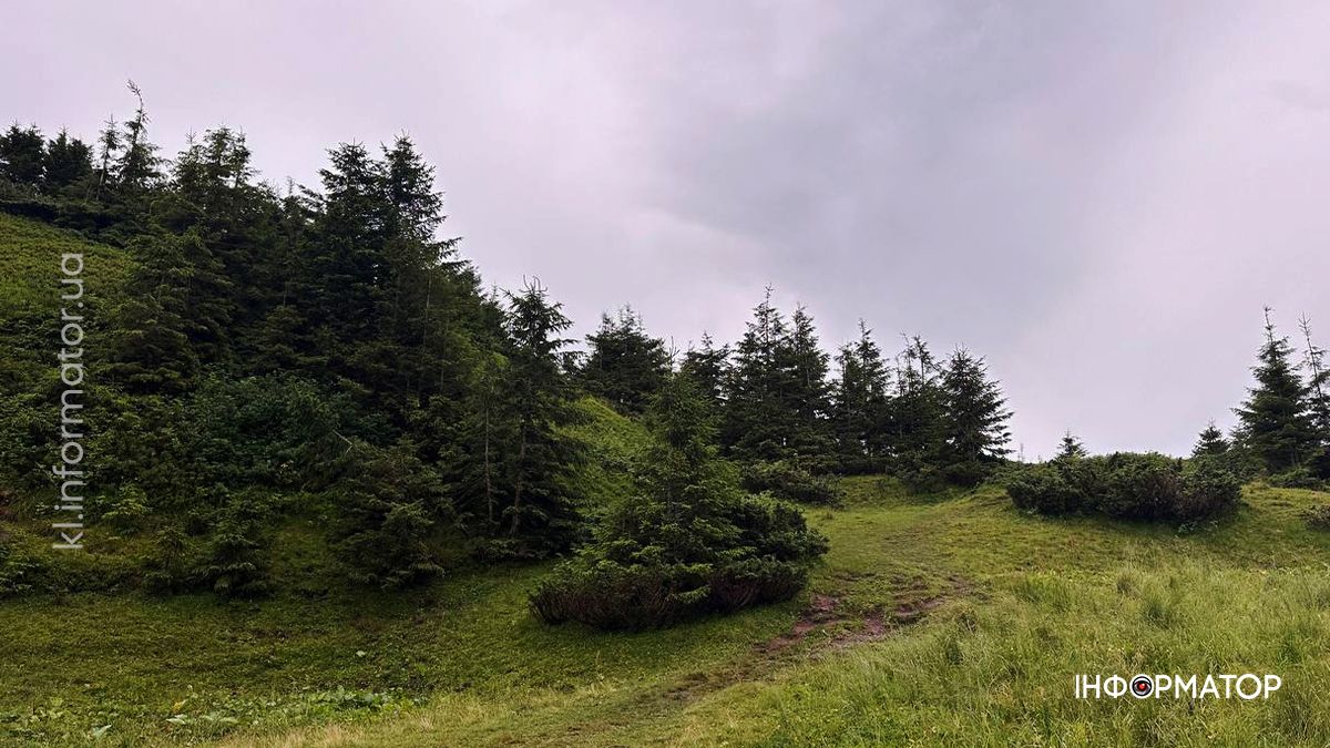 Там, де літо пахне травами: світлини Карпат, які дихають спокоєм 2