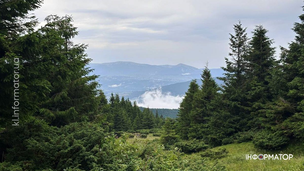 Там, де літо пахне травами: світлини Карпат, які дихають спокоєм 1