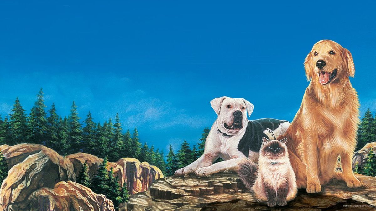 Сімейний кіносеанс: найкращі фільми для вечора разом 5