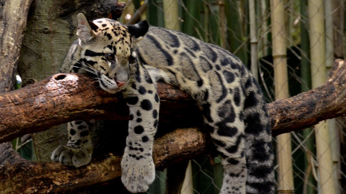 Цей день в календарі: свята, прикмети та іменини 4 серпня