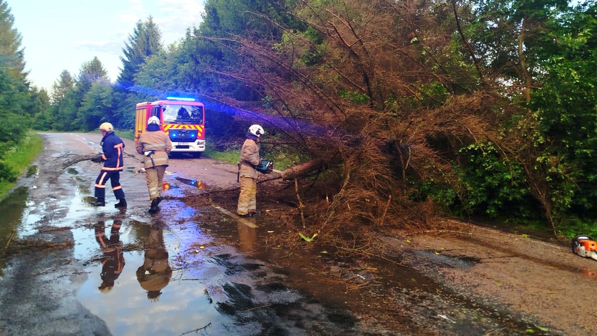 У Городенківській громаді дерево впало на проїжджу частину