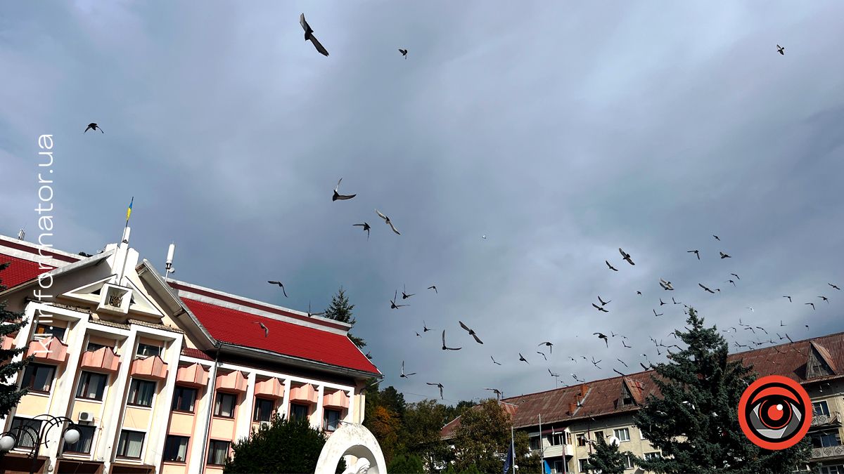 Актуальні пропозиції роботи у Косові 5 серпня