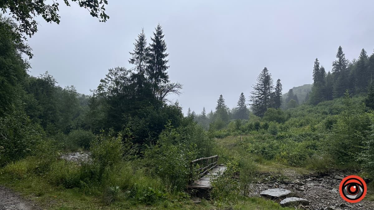 Літні Карпати під дощем: фоторепортаж 3