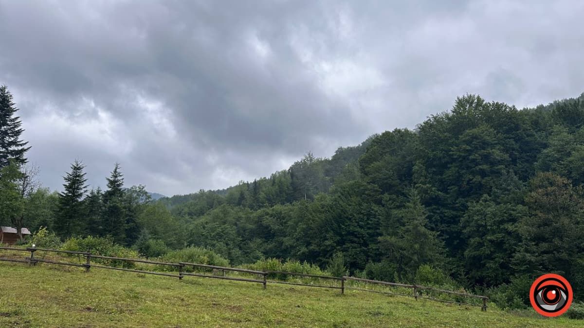 Літні Карпати під дощем: фоторепортаж 5