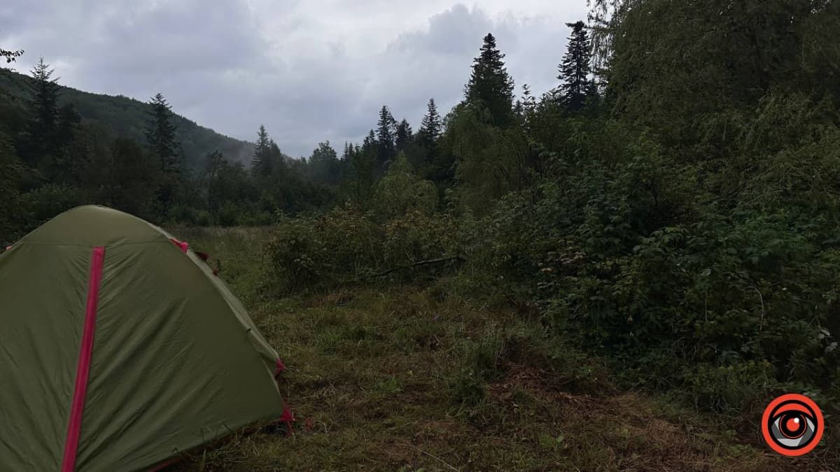 Літні Карпати під дощем: фоторепортаж 6