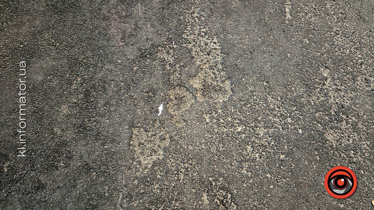 коновальця 4