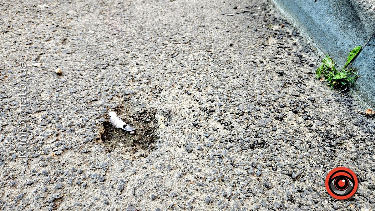 коновальця 7