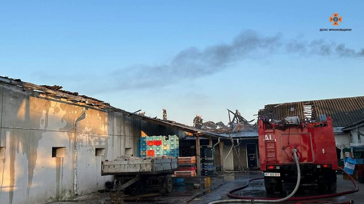 Масштабно палала птахофабрика на Прикарпатті 4