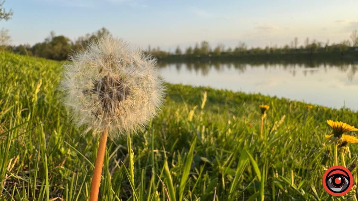 новини коломих