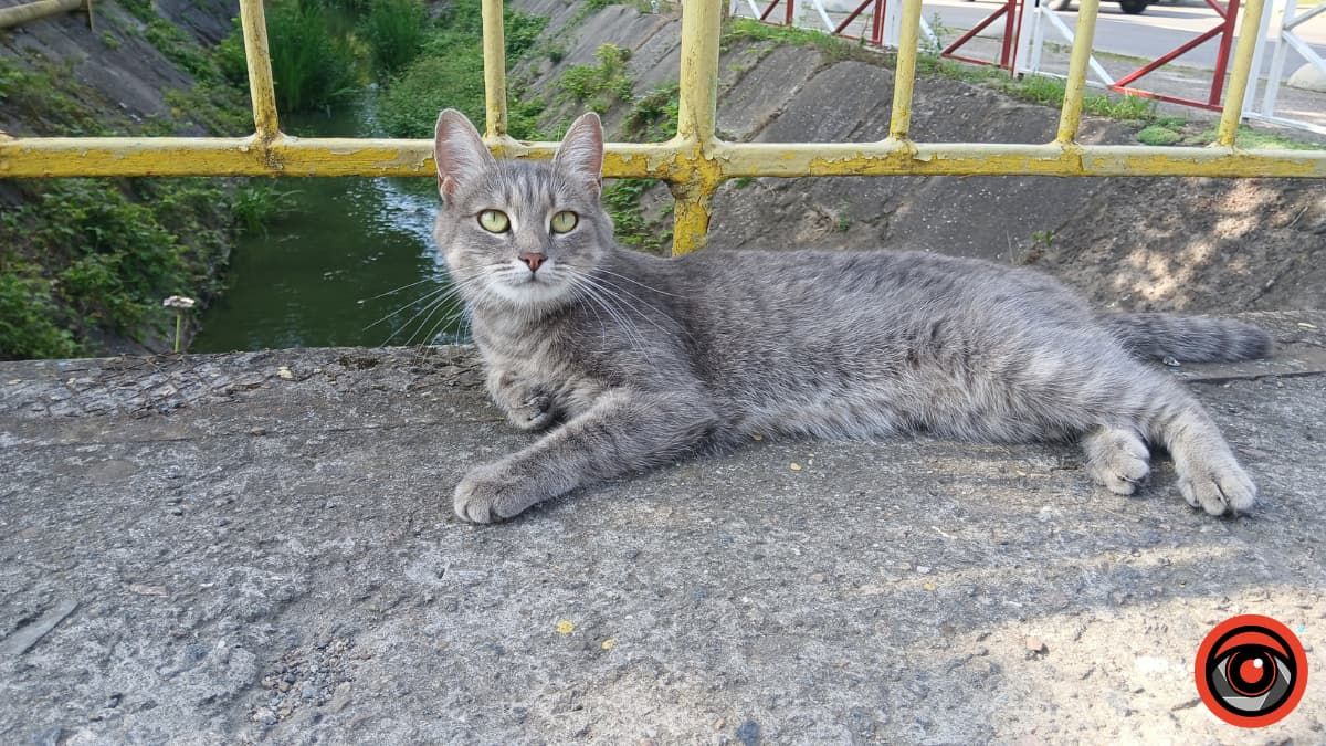 Цей день в календарі: свята, прикмети та іменини 16 серпня