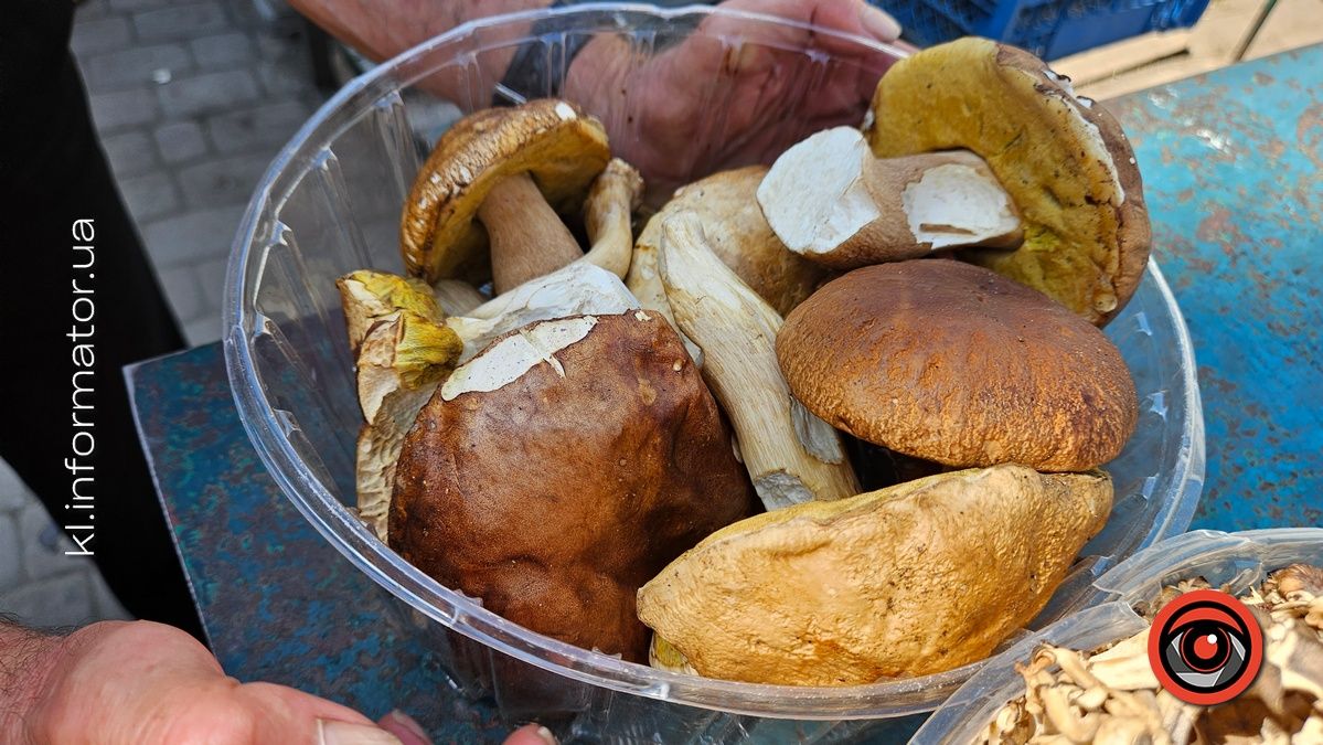 Які ціни на свіжі гриби у Коломиї 1