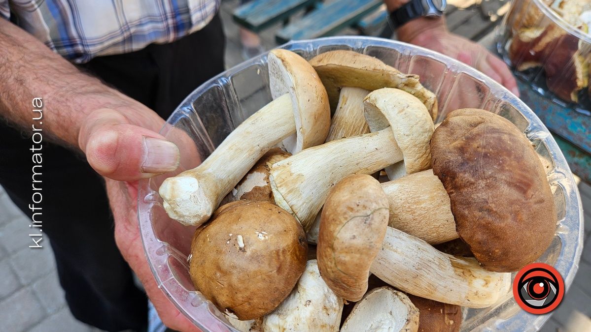 Які ціни на свіжі гриби у Коломиї 4
