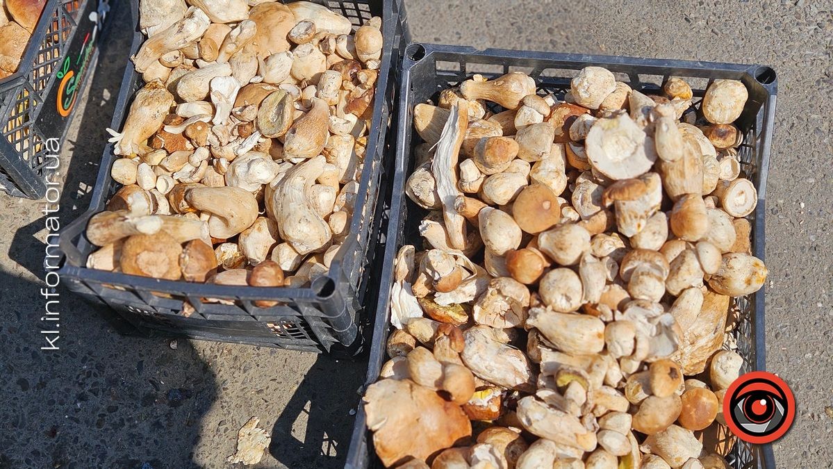 Які ціни на свіжі гриби у Коломиї 5