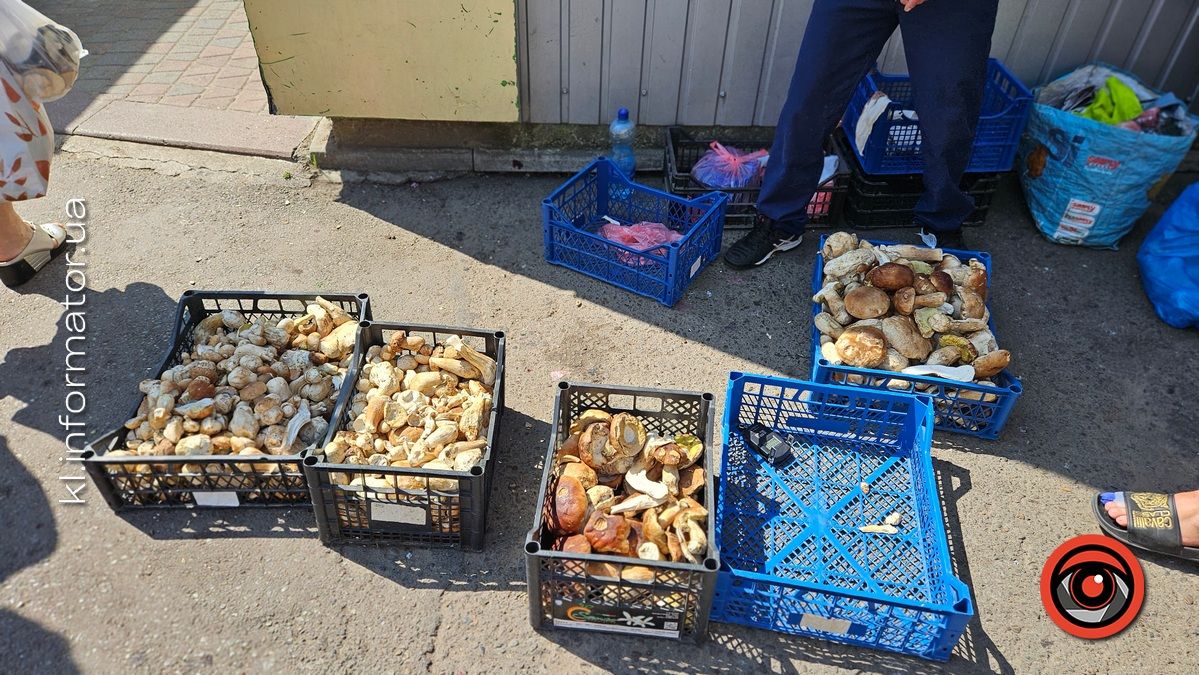 Які ціни на свіжі гриби у Коломиї 3