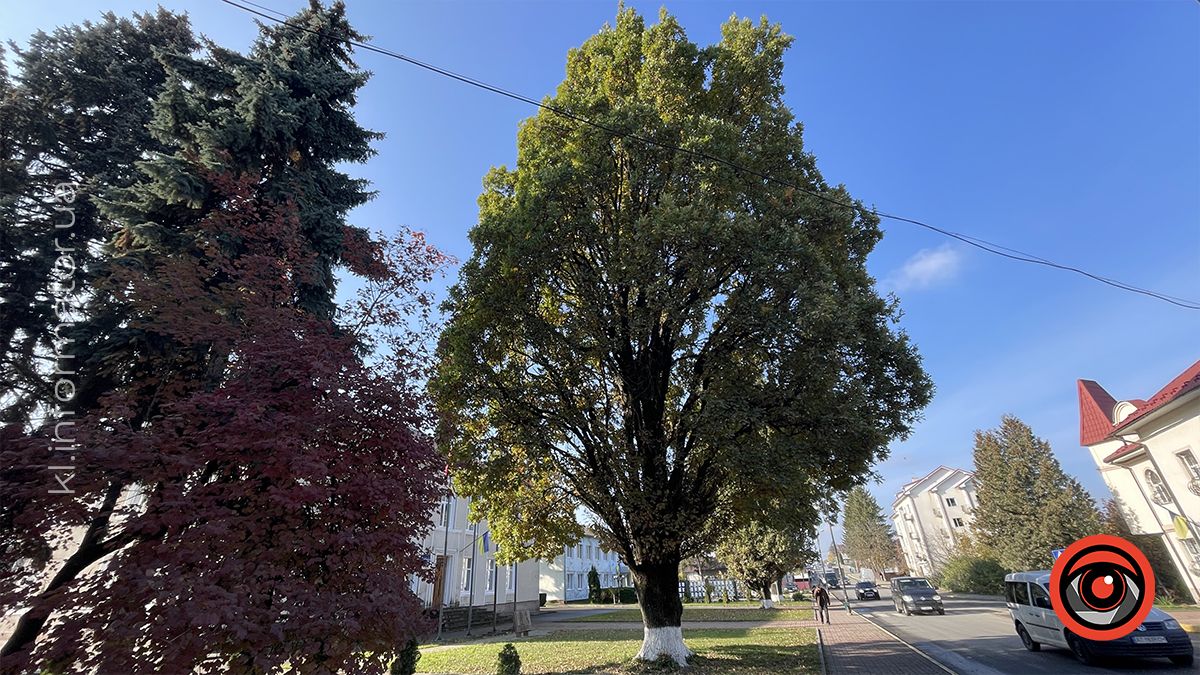 Городенка сьогодні відзначає День міста 3