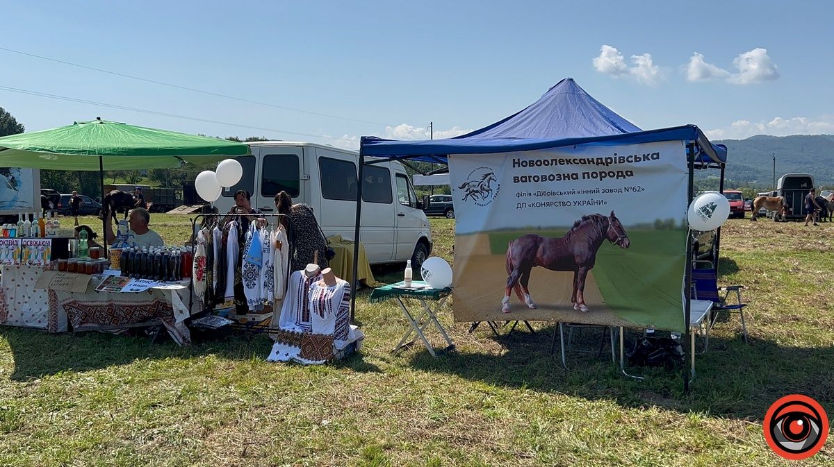 Це варта побачити: "Оґир-Фест» на Косівщині представив неймовірних коней і збирає кошти воїнам 1