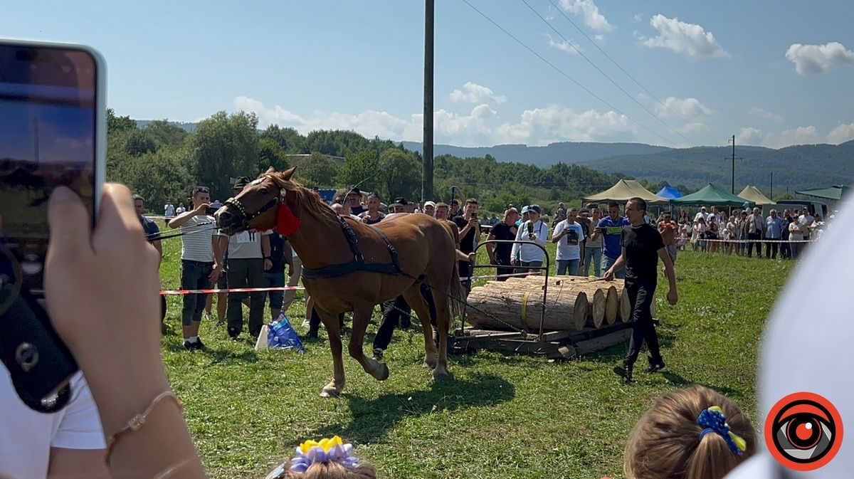 Це варта побачити: "Оґир-Фест» на Косівщині представив неймовірних коней і збирає кошти воїнам 5