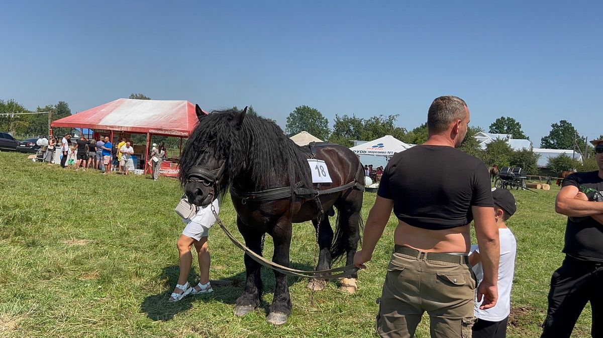 Це варта побачити: "Оґир-Фест» на Косівщині представив неймовірних коней і збирає кошти воїнам 4
