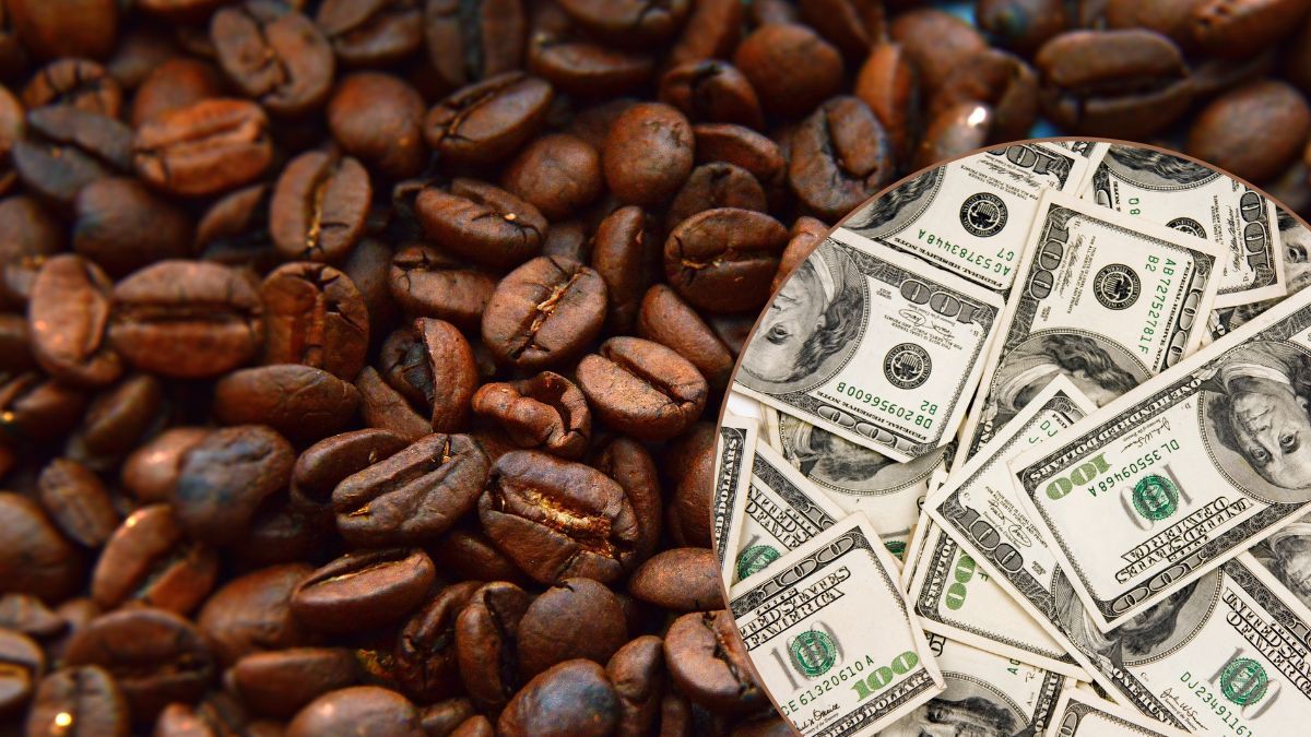 Митник з Прикарпаття брав хабарі за «безперешкодний» імпорт кави: його чекає суд