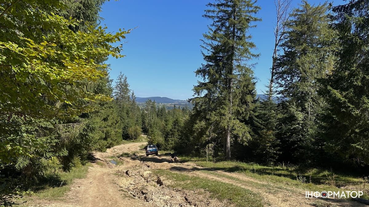 Джипінг у Карпатах: атракція для туристів чи злочин проти природи?