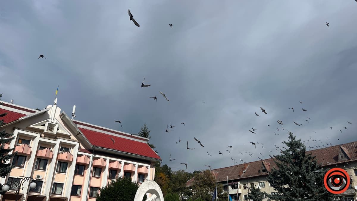 У Косові планують встановити Алею Віри та Надії з портретами полонених та безвісти зниклих воїнів