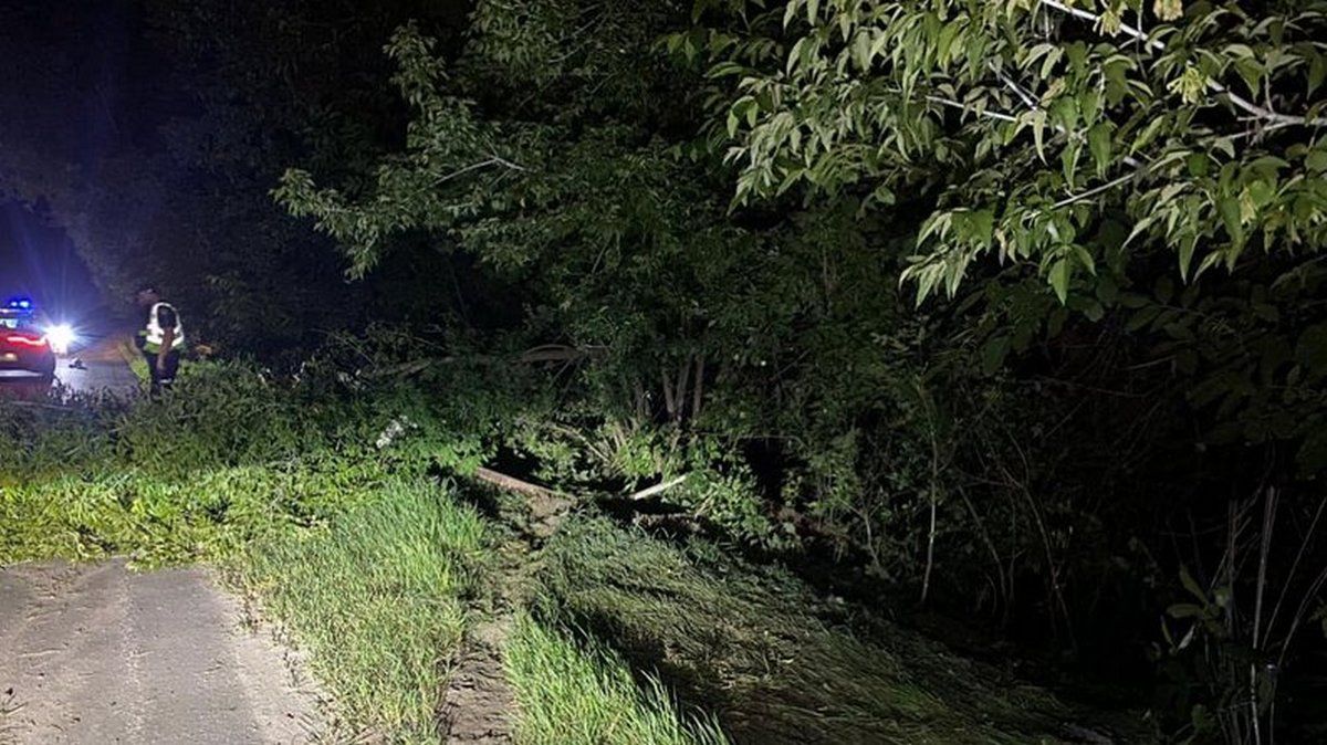 П'яного росіянина в комендантську годину на Коломийщині зупинили поліцейські