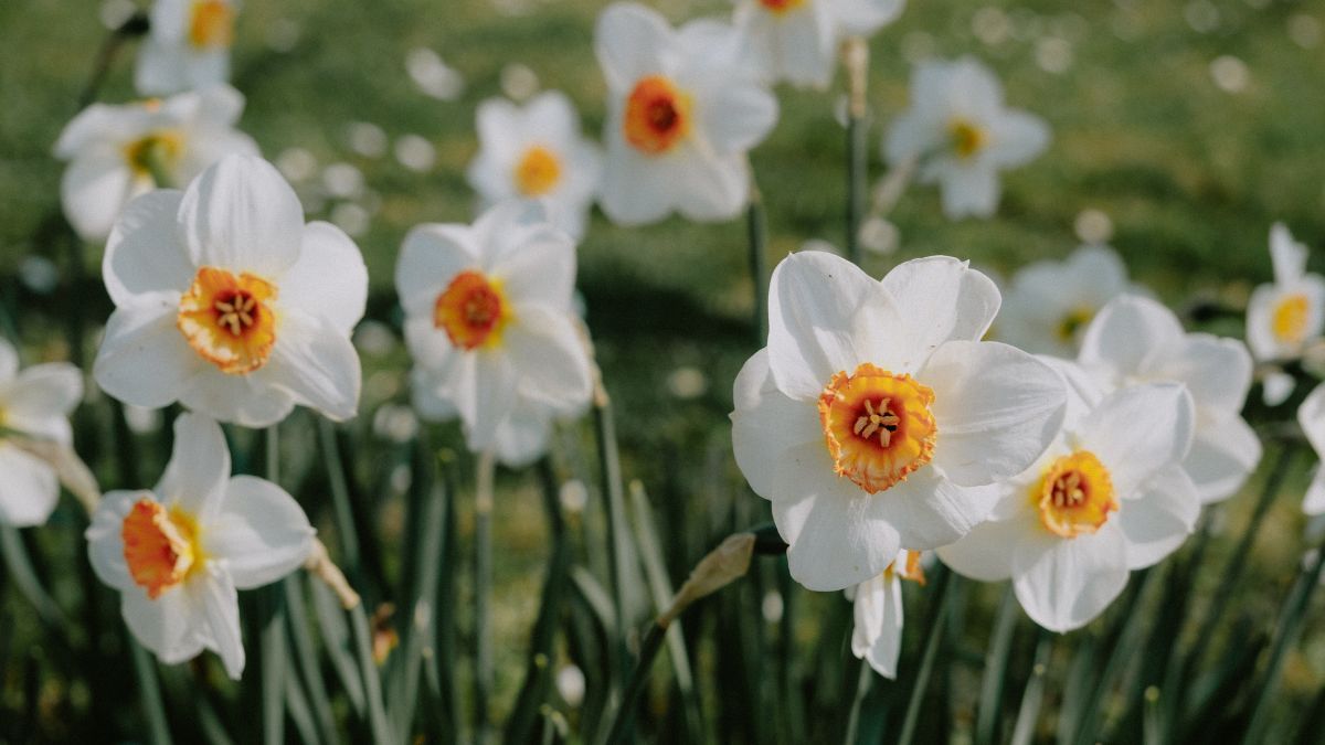 Цей день в календарі: свята, прикмети та іменини 22 серпня