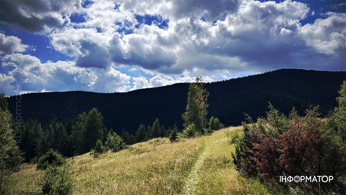 Літні Карпати у всій красі: фоторепортаж з гір
