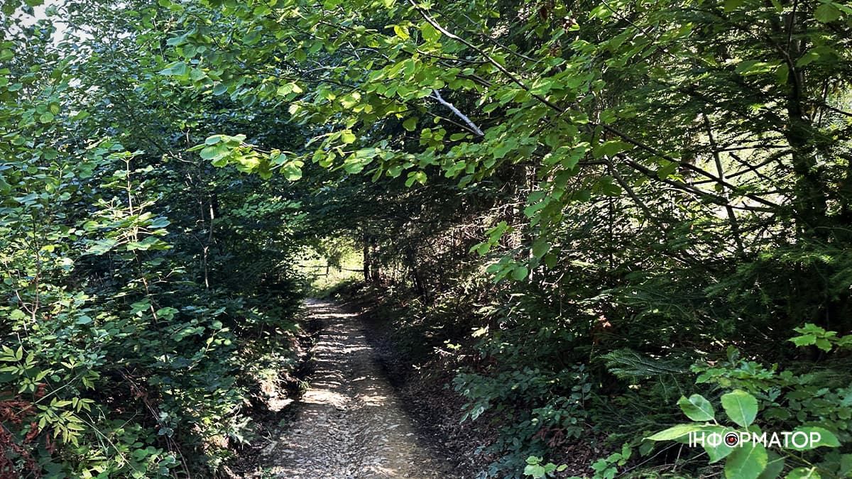 Літні Карпати у всій красі: фоторепортаж з гір 2