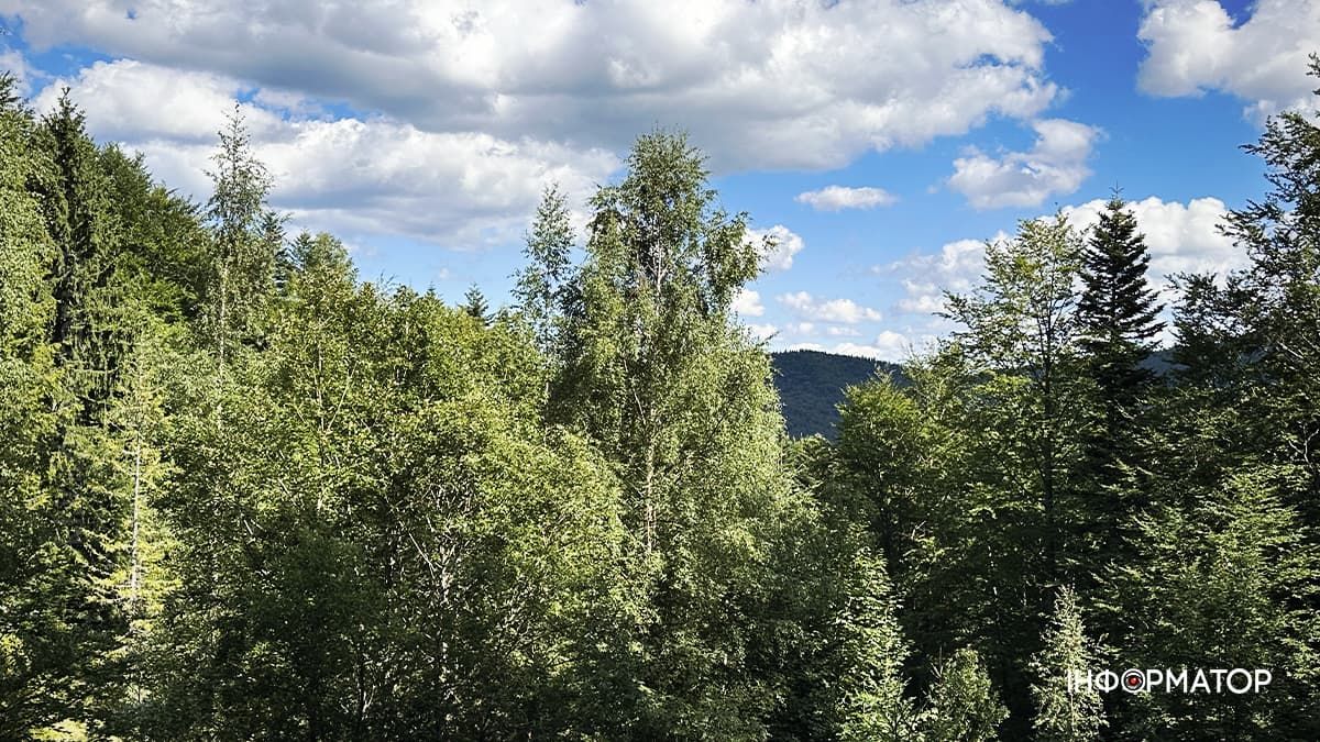 Літні Карпати у всій красі: фоторепортаж з гір 3