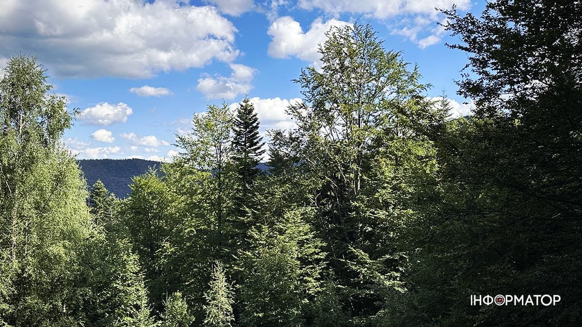 Літні Карпати у всій красі: фоторепортаж з гір 4