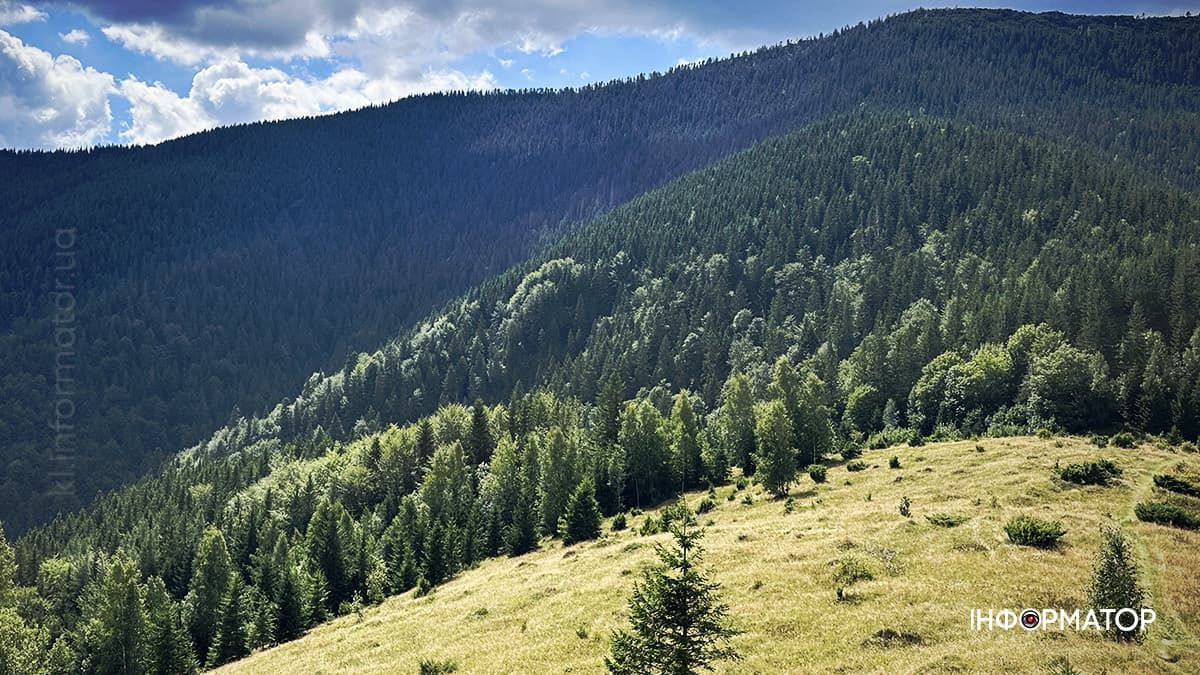 Літні Карпати у всій красі: фоторепортаж з гір 5