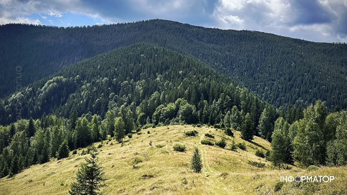 Літні Карпати у всій красі: фоторепортаж з гір 6