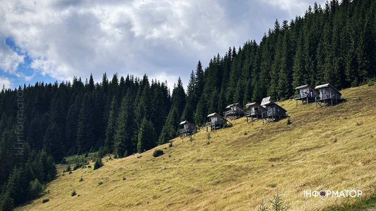 Літні Карпати у всій красі: фоторепортаж з гір 9