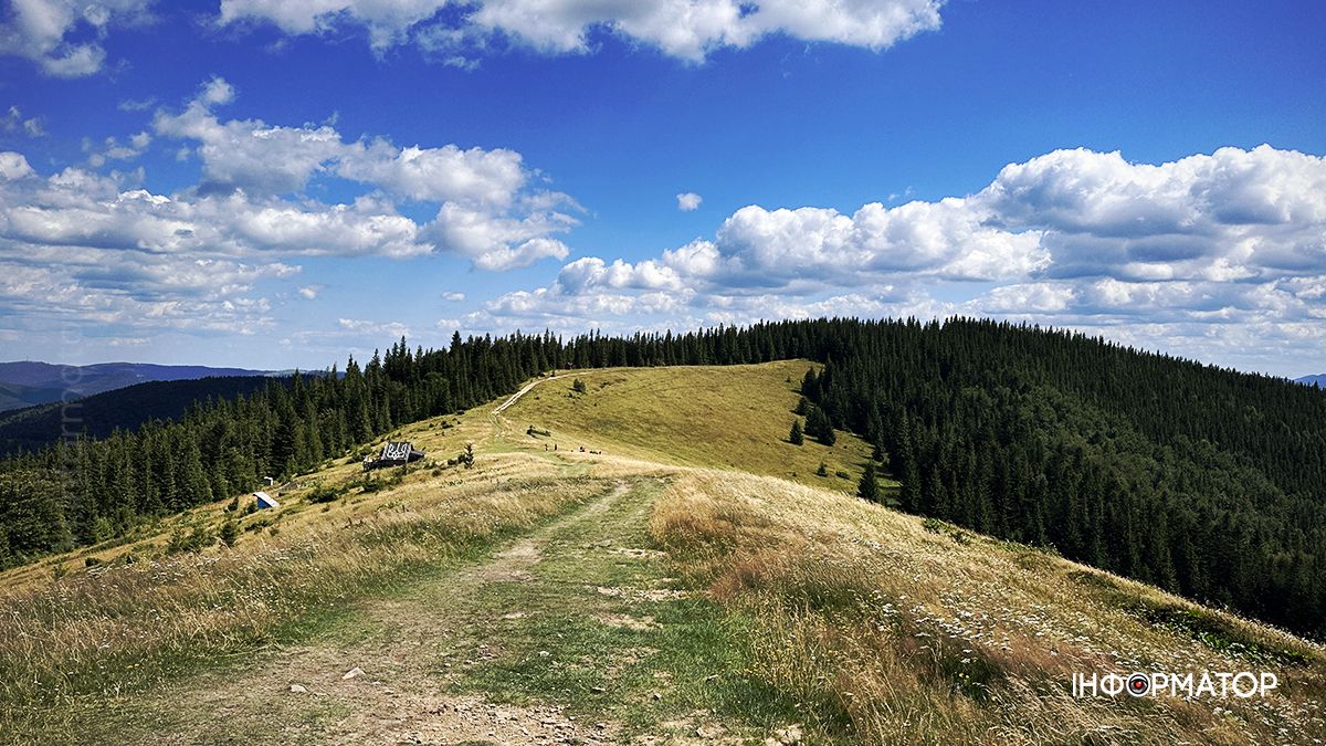 Літні Карпати у всій красі: фоторепортаж з гір 10