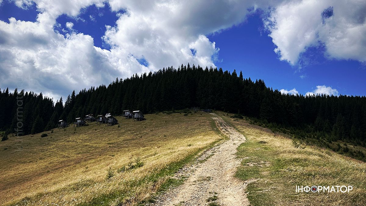 Літні Карпати у всій красі: фоторепортаж з гір 12