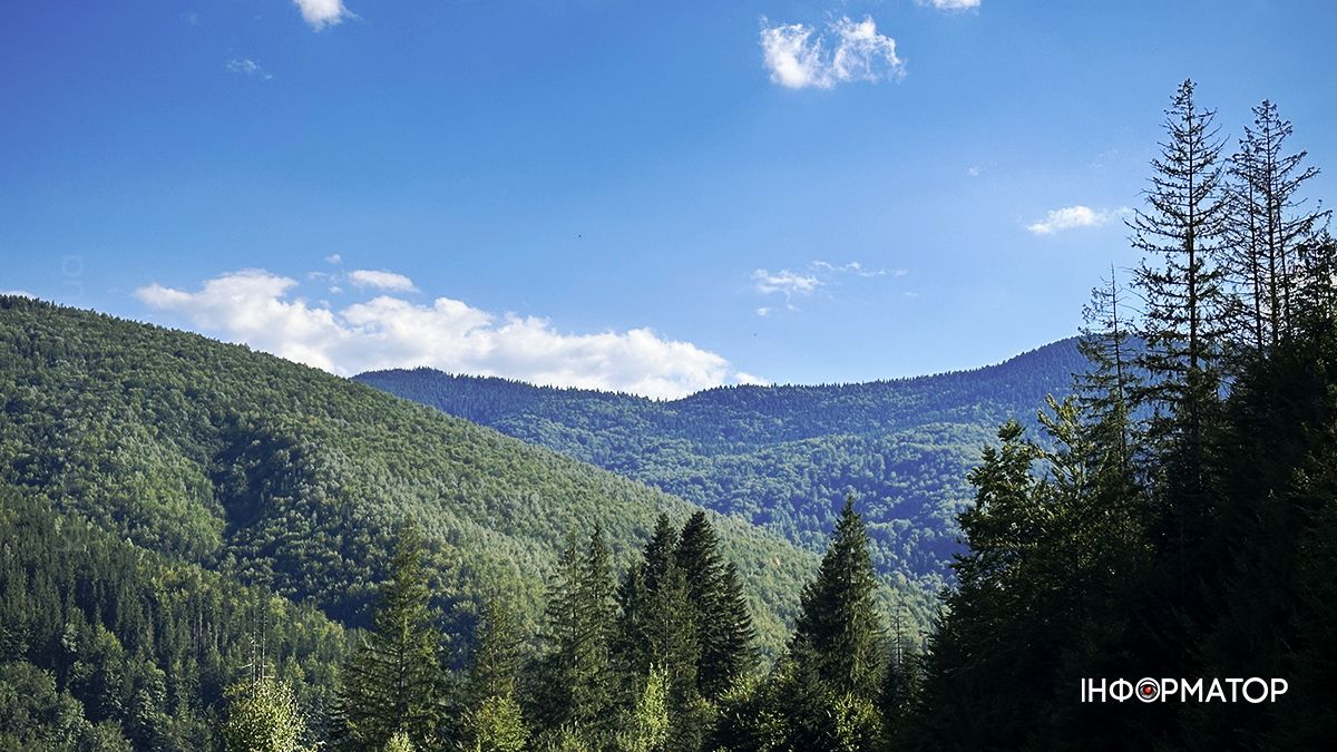 Літні Карпати у всій красі: фоторепортаж з гір 13