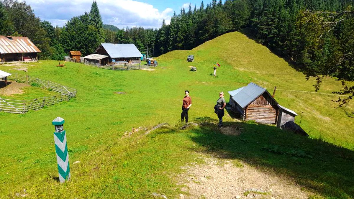 Полонина Борсучина - мальовнича локація неподалік Ворохти 3